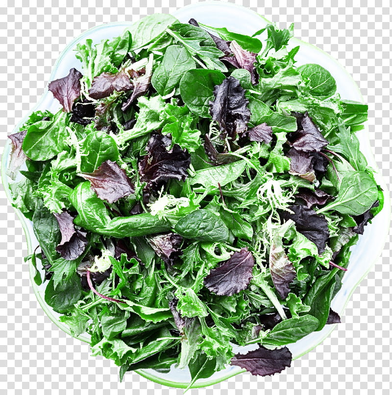 Salad, Spinach, Vegetarian Cuisine, Leaf Vegetable, Spring Greens, Lettuce, Collard, Romaine Lettuce transparent background PNG clipart