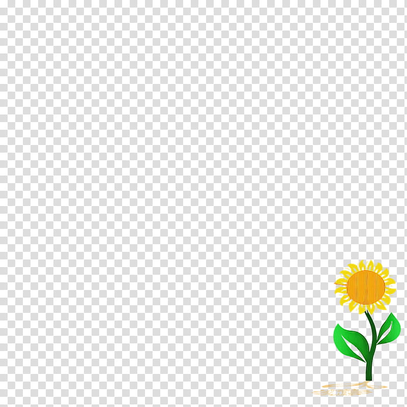 Floral design, Yellow, Meter, Line transparent background PNG clipart