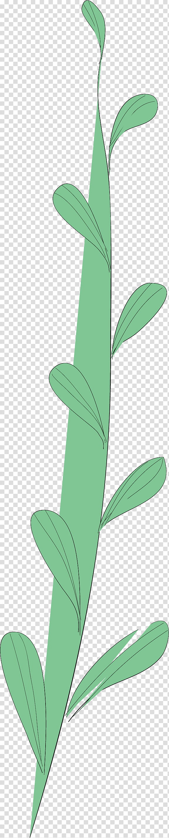 simple leaf simple leaf drawing simple leaf outline, Plant Stem, Flower, Plants, Biology, Plant Structure, Science transparent background PNG clipart