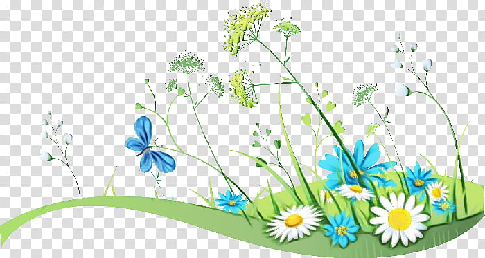 Daisy, Watercolor, Paint, Wet Ink, Chamomile, Camomile, Mayweed, Flower transparent background PNG clipart