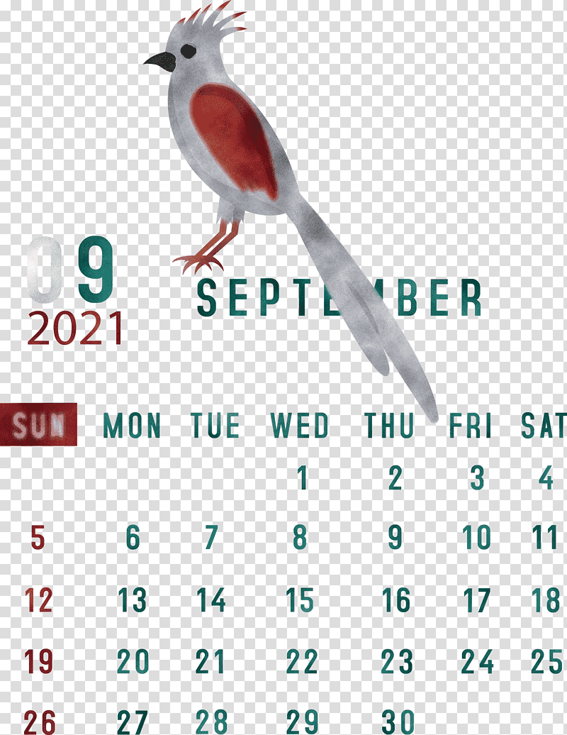 September 2021 Printable Calendar September 2021 Calendar, Birds, Beak, Calendar System, Meter, Line, Android transparent background PNG clipart