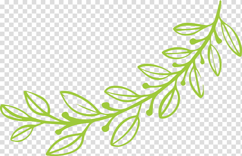 simple leaf simple leaf drawing simple leaf outline, Branch, Plant Stem, Grasses, Flower, Meter, Plants, Science transparent background PNG clipart