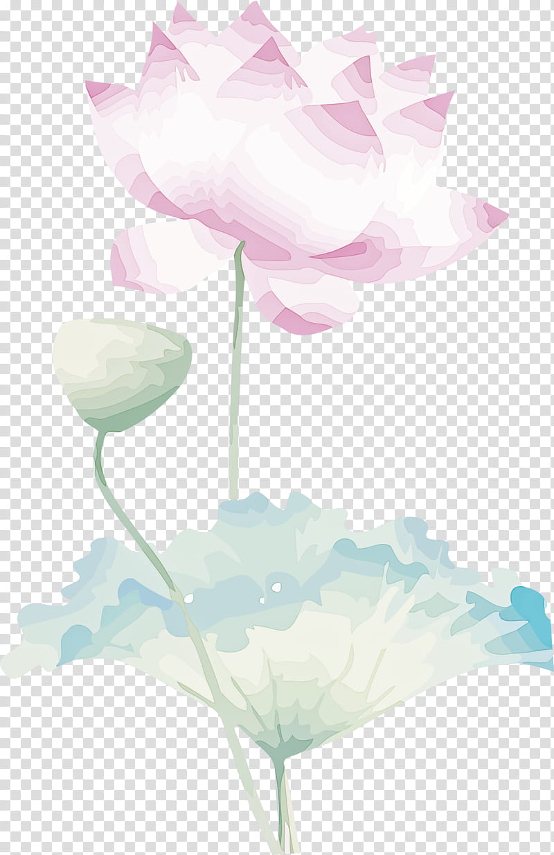 Lotus, Lotus Leaf, Flower, Watercolor, Pink, Petal, Lotus Family, Plant transparent background PNG clipart