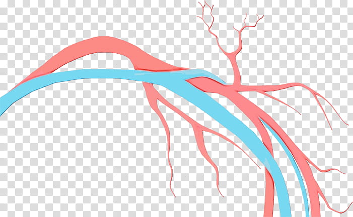 angiology vascular surgery vein doppler ultrasonography aneurysm, Watercolor, Paint, Wet Ink, Physician, Therapy, SURGEON, Medicine transparent background PNG clipart