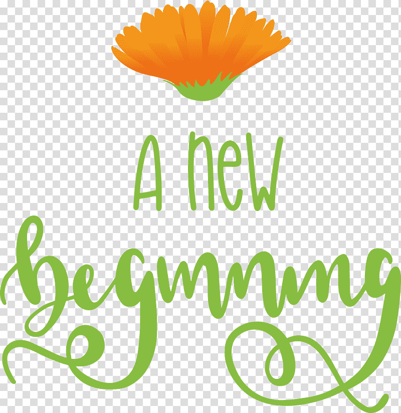 A New Beginning, Plant Stem, Cut Flowers, Floral Design, Daisy Family, Logo, Petal transparent background PNG clipart