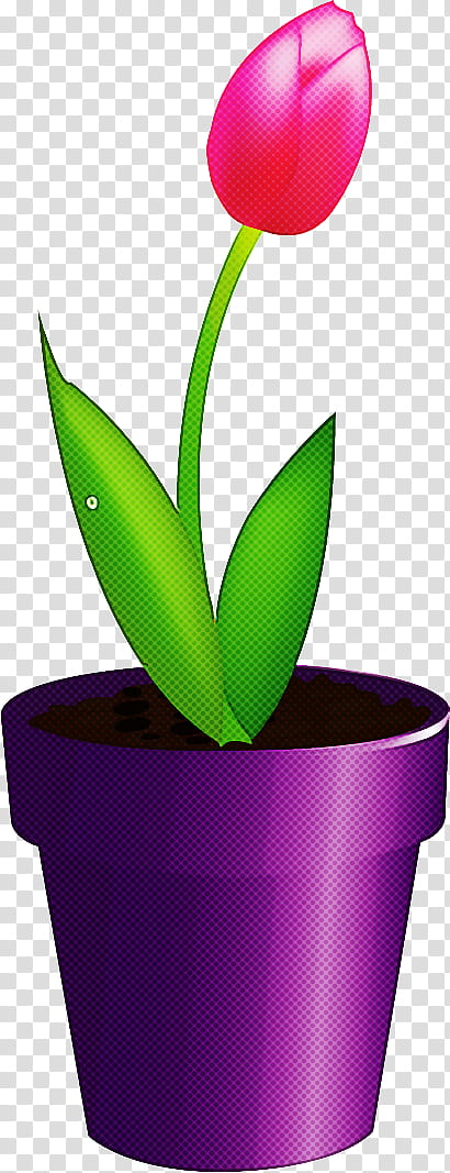 flower floral vase, Potted, Flowerpot, Houseplant, Leaf, Terrestrial Plant, Plant Stem, Perennial Plant transparent background PNG clipart