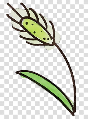 leaf insect plant flower blister beetles, Watercolor Flower, Paint, Wet Ink transparent background PNG clipart thumbnail