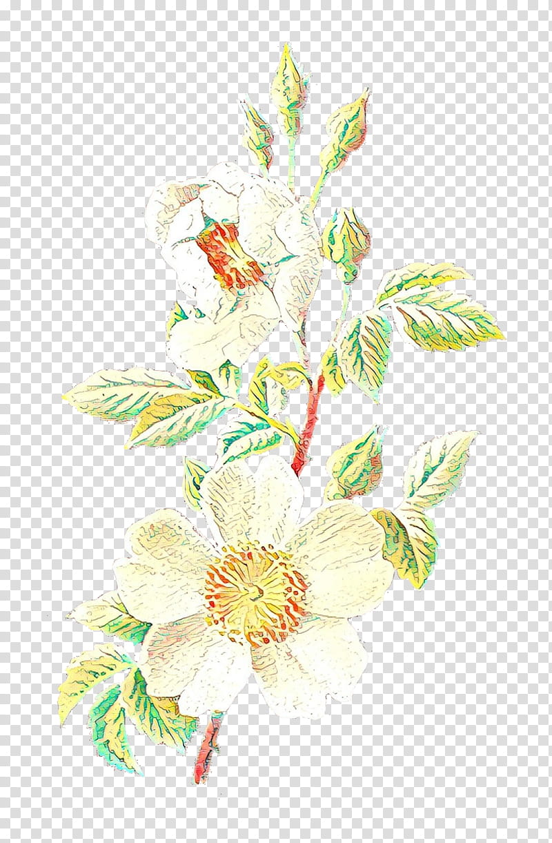 Flower Art Watercolor, Floral Design, Field Rose, Flower Illustration, Antique, Drawing, Watercolor Painting, White transparent background PNG clipart