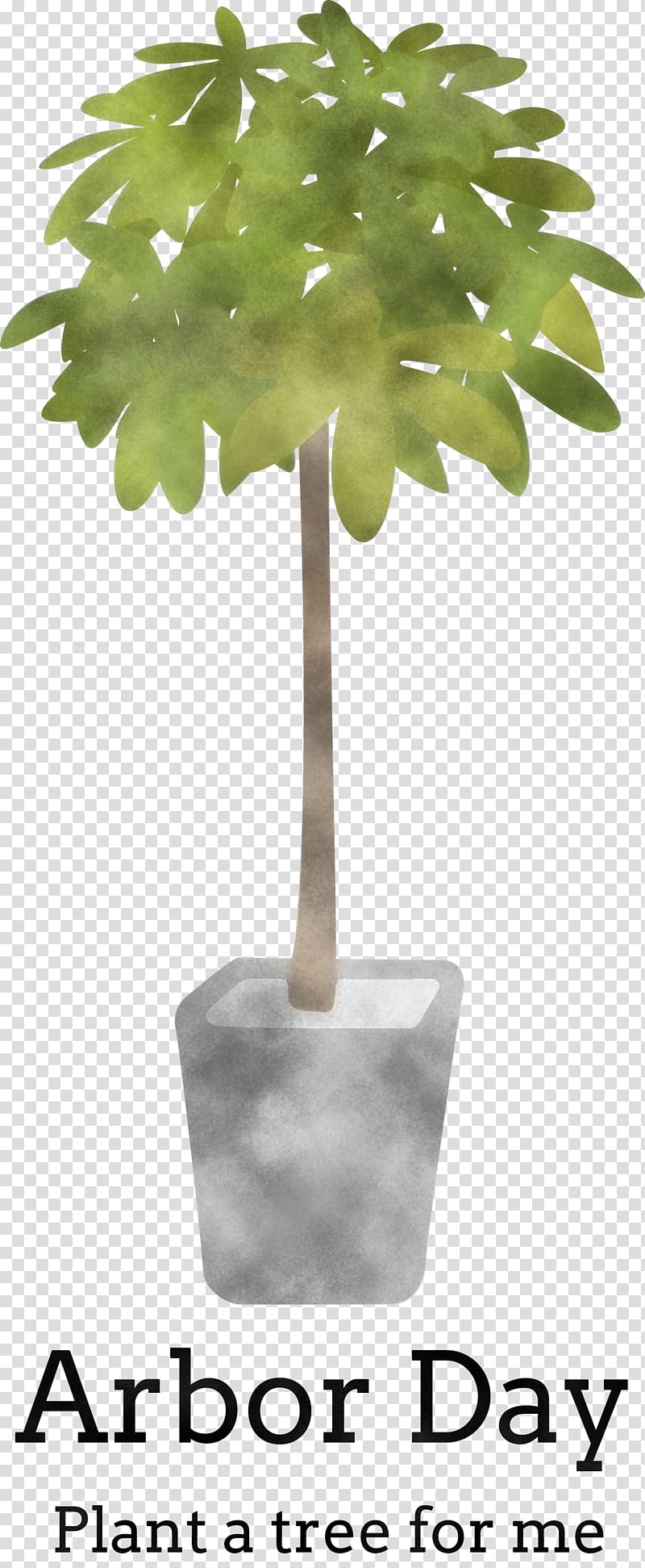 Arbor Day Green Earth Earth Day, Flowerpot, Leaf, Tree, Plant, Monstera Deliciosa, Woody Plant, Houseplant transparent background PNG clipart