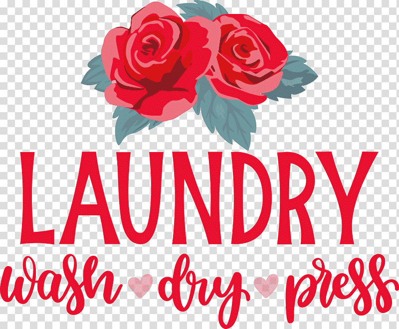Laundry Wash Dry, Press, Floral Design, Garden Roses, Cut Flowers, Petal, Rose Family transparent background PNG clipart