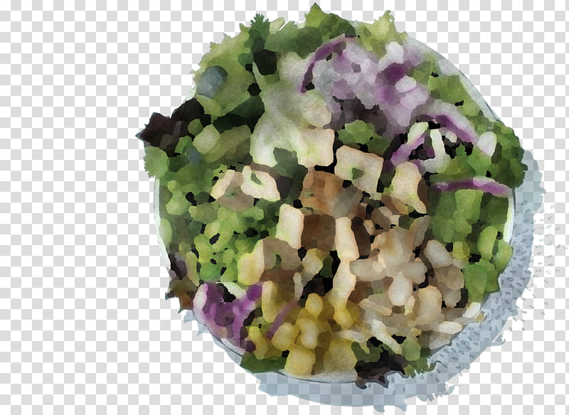 Salad, Vegetarian Cuisine, Leaf Vegetable, Superfood, Vegetarianism, Hahn Hotels Of Sulphur Springs Llc transparent background PNG clipart