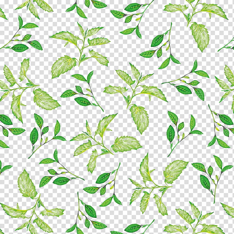 plant stem leaf flower green pattern, Line, Plants, Science, Biology, Plant Structure transparent background PNG clipart