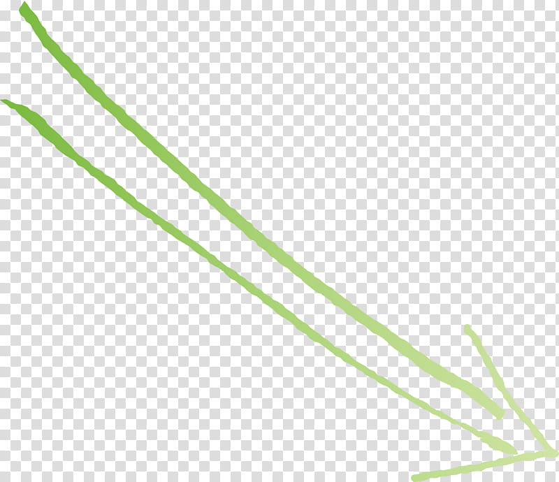 Hand Drawn Arrow, Grass Family, Line, Plant, Plant Stem, Elymus Repens transparent background PNG clipart