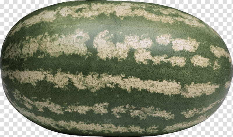 Watermelon, Figleaf Gourd, Cucumber, Cucurbits, Vegetable, Cantaloupe, Fruit, Cucurbita Maxima transparent background PNG clipart