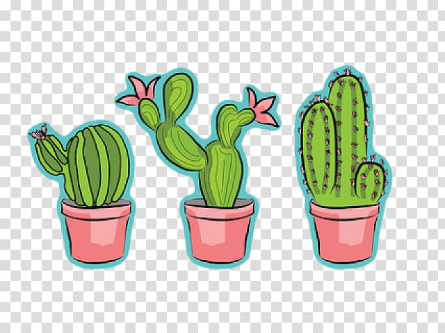 Cactus, Flowerpot, Plant, Saguaro, Terrestrial Plant, Houseplant, Caryophyllales, Succulent Plant transparent background PNG clipart