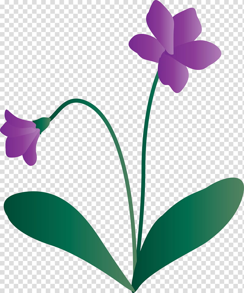 violet flower, Plant Stem, Leaf, Herbaceous Plant, Petal, Lilac, Flora, Violaceae transparent background PNG clipart