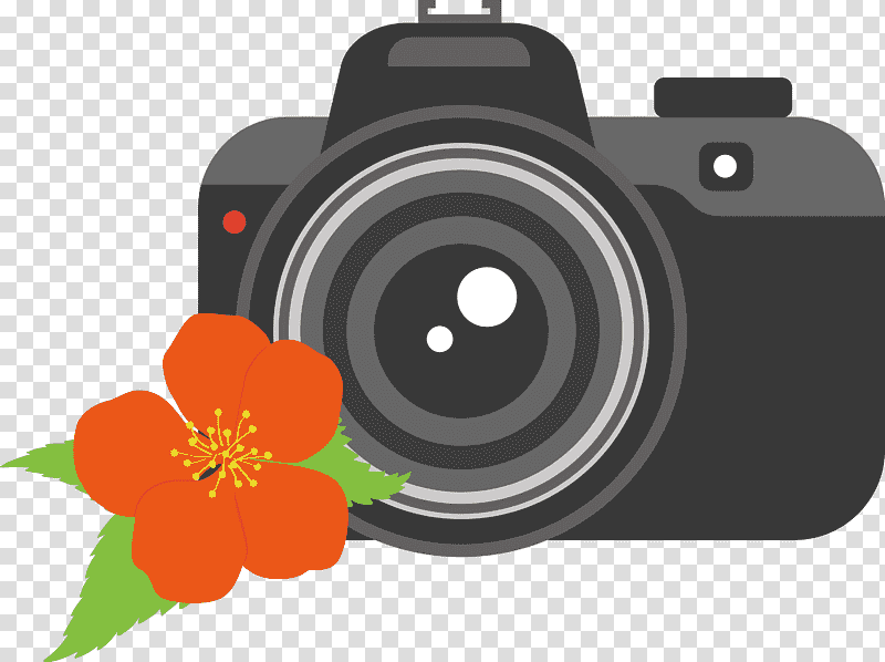 Camera Flower, Christ The King, St Andrews Day, St Nicholas Day, Watch Night, Thaipusam, Tu Bishvat transparent background PNG clipart