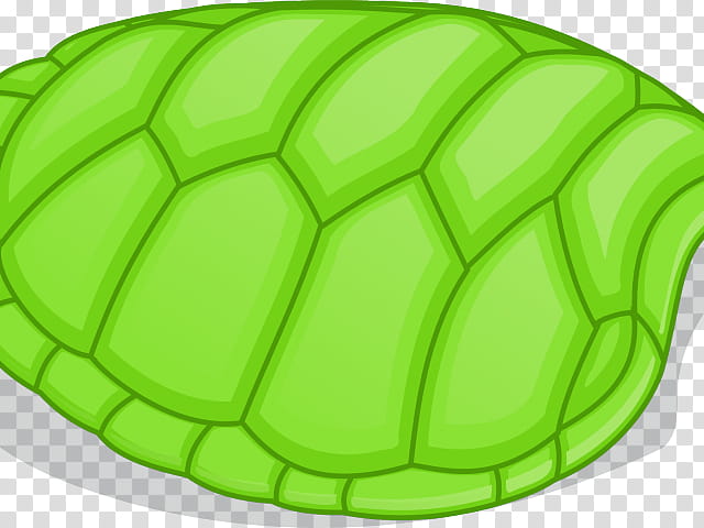 Sea Turtle, Turtle Shell, Reptile, Green Sea Turtle, Common Snapping Turtle, Box Turtles, Snapping Turtles, Animal transparent background PNG clipart