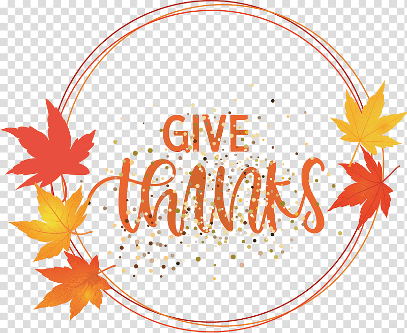 Thanksgiving Be Thankful Give Thanks, Leaf, Tree, Meter, Line, Mathematics, Science transparent background PNG clipart