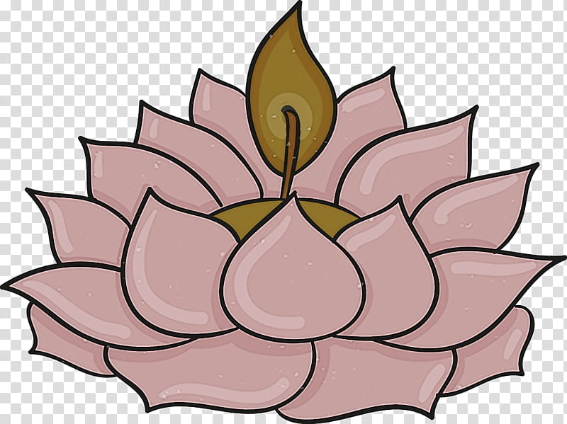 Bodhi Lotus Lotus, Pink, Lotus Family, Petal, Flower, Aquatic Plant, Leaf, Sacred Lotus transparent background PNG clipart