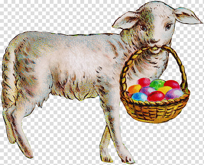 Easter egg, Goats, Cowgoat Family, Sheep, Live, Animal Figure, Goatantelope transparent background PNG clipart