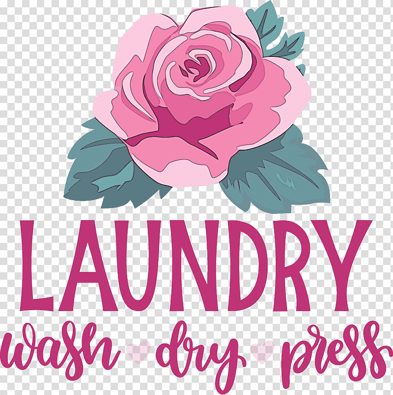 Laundry Wash Dry, Press, Floral Design, Garden Roses, Cut Flowers, Petal, Rose Family transparent background PNG clipart