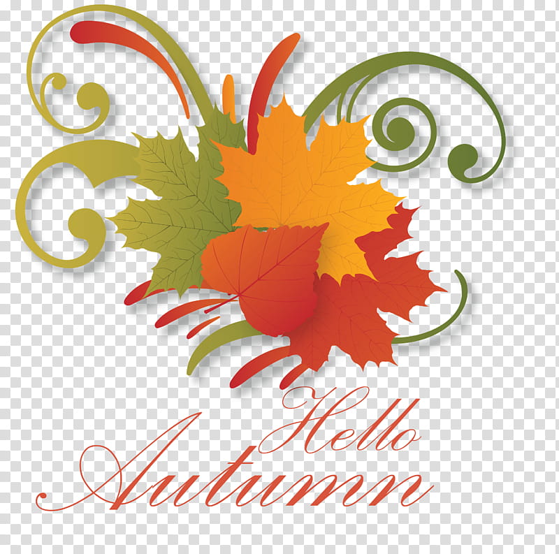 Hello Autumn Welcome Autumn Hello Fall, Welcome Fall, Leaf, Maple Leaf, Ornament, , Petal, Ornamental Plant transparent background PNG clipart