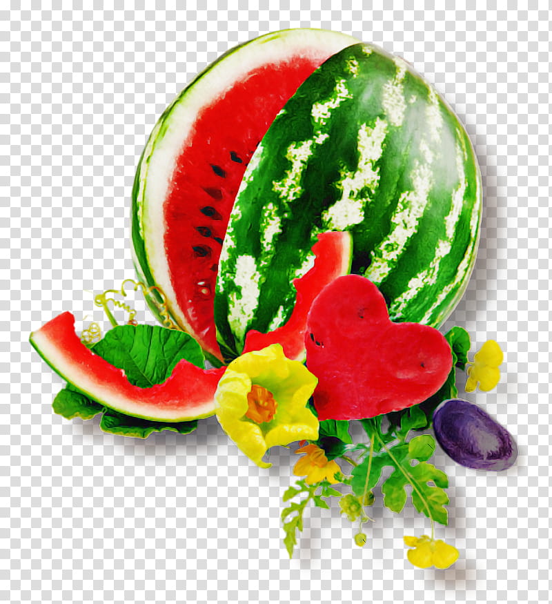 Fruit tree, Cantaloupe, Honeydew, Watermelon, Canary Melon, Galia Melon, Cucurbits, Berry transparent background PNG clipart