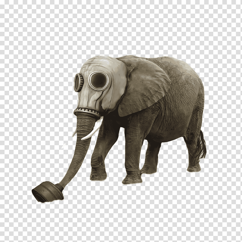 Indian elephant, African Elephants, Tusk transparent background PNG clipart