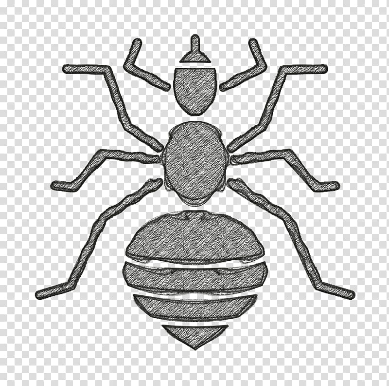 Insects icon Louse icon, Spider, Pest, Arachnid, Membranewinged Insect, Darkling Beetles transparent background PNG clipart