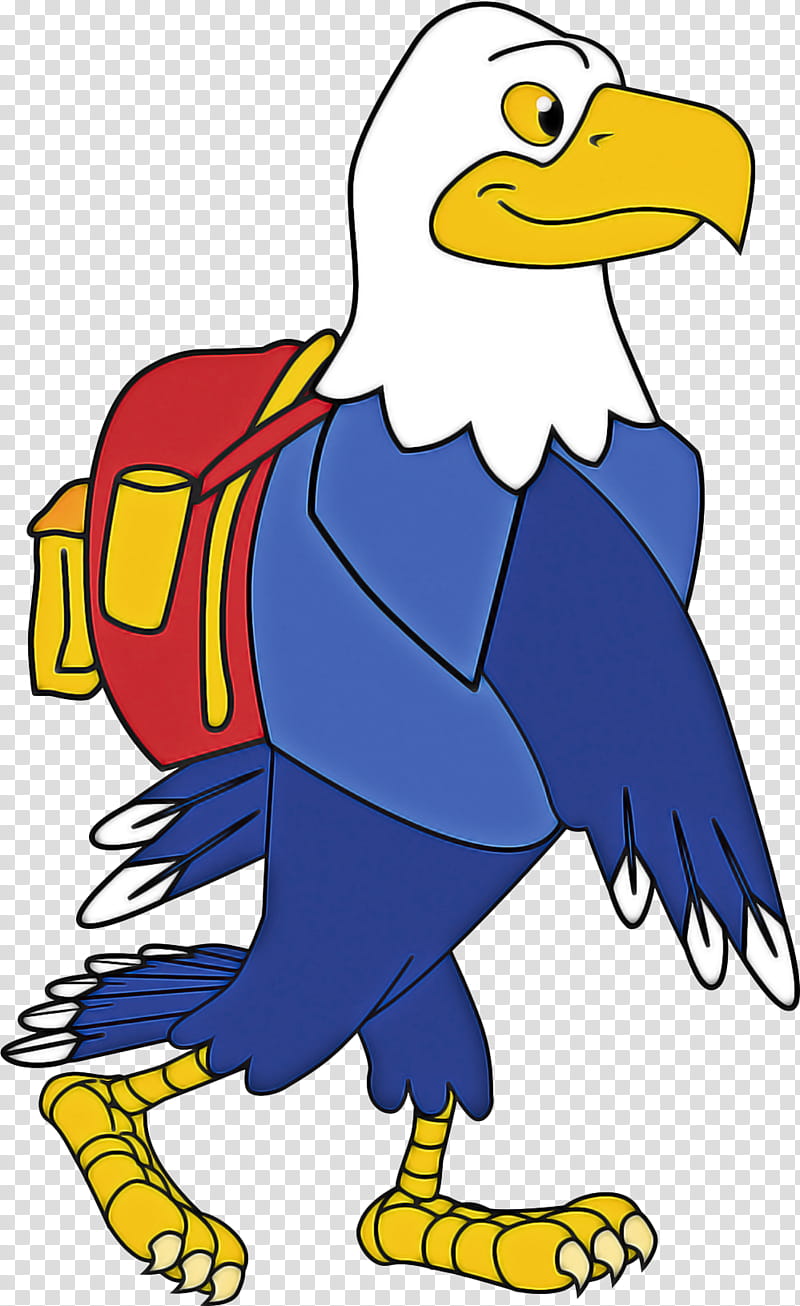 Bird Line Drawing, Beak, Bald Eagle, Cartoon, Vulture, Character, Hawk, Animal transparent background PNG clipart