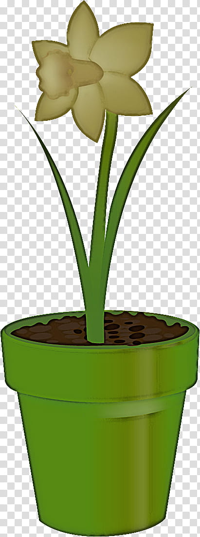 flower floral vase, Potted, Flowerpot, Houseplant, Terrestrial Plant, Plant Stem, Leaf, Grass Family transparent background PNG clipart