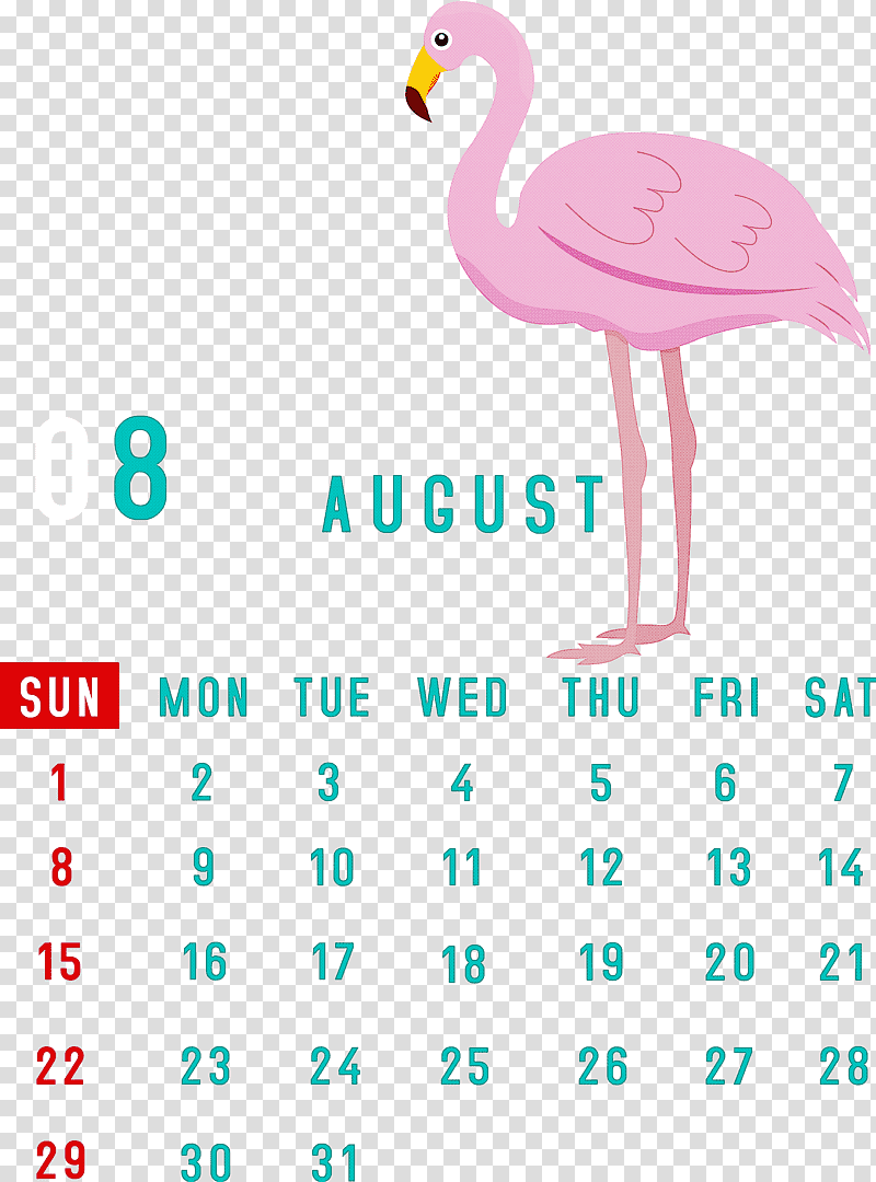 August 2021 Calendar August Calendar 2021 Calendar, Birds, Beak, Water Bird, Meter, Line, Samsung transparent background PNG clipart