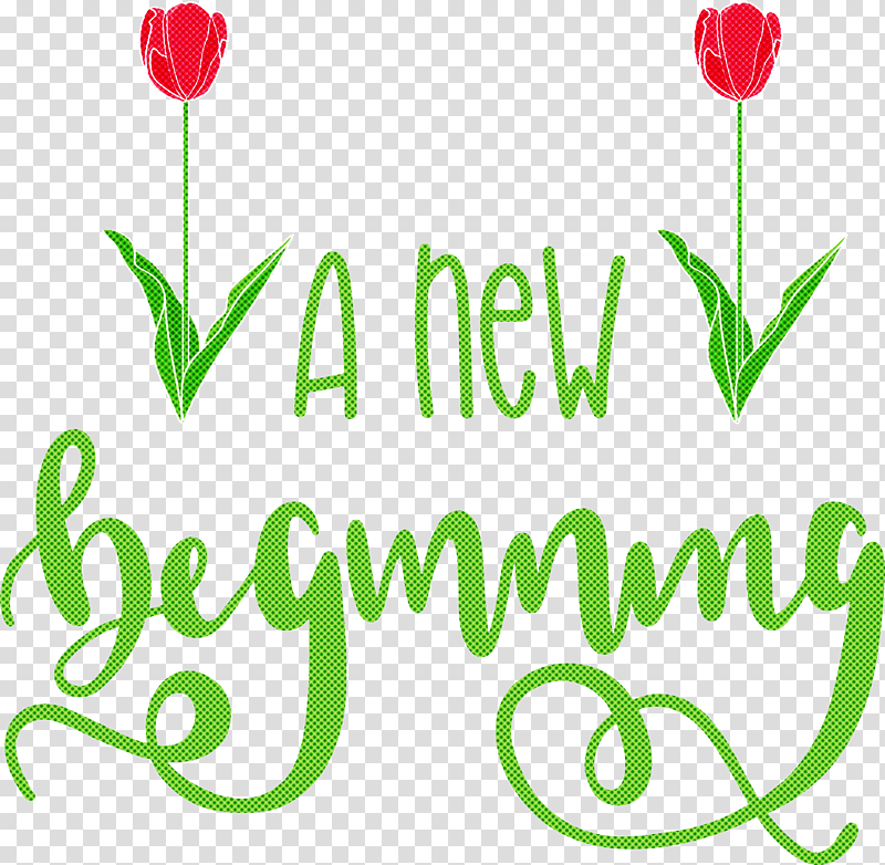 A New Beginning, Floral Design, Leaf, Plant Stem, Cut Flowers, Petal, Tulip transparent background PNG clipart