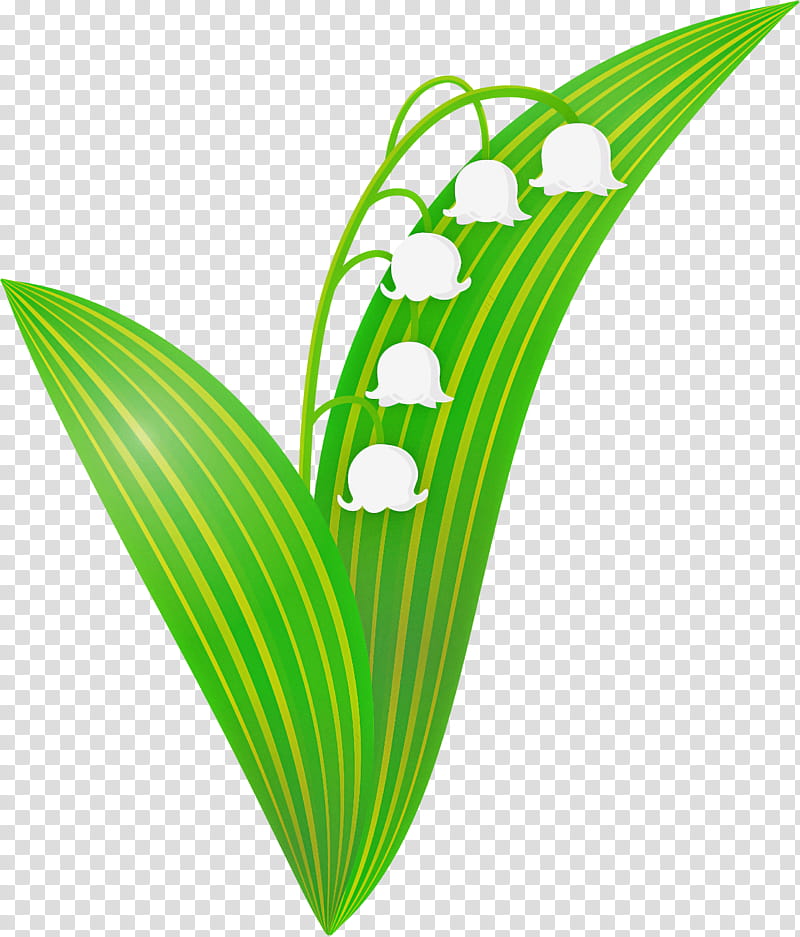 Lily Bell flower, Lily Of The Valley, Leaf, Green, Plant, Logo, Anthurium transparent background PNG clipart