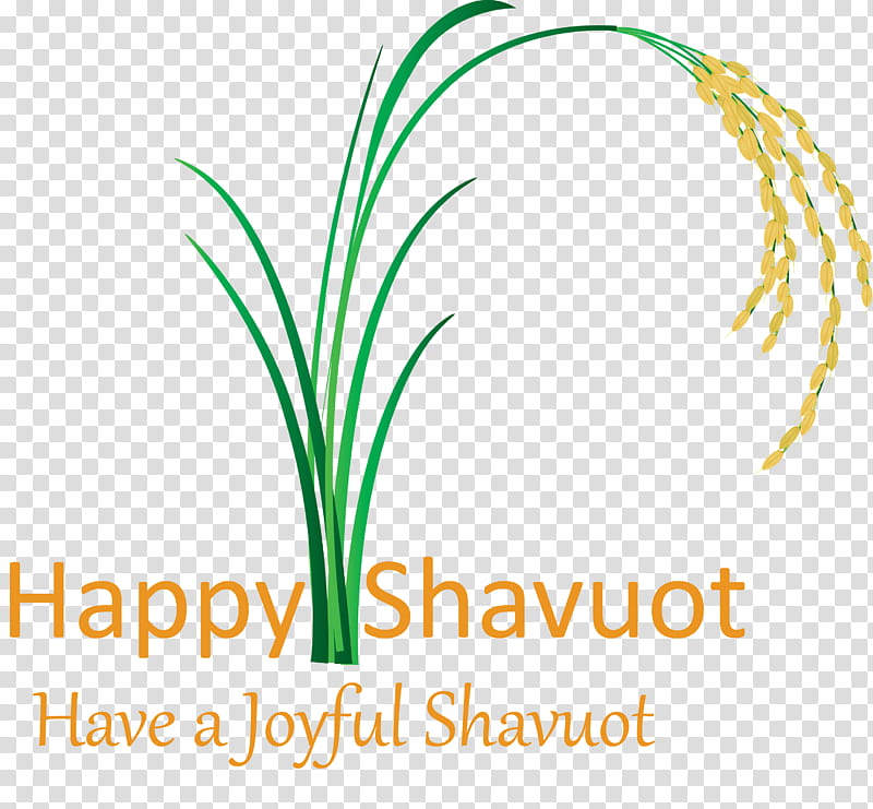 Happy Shavuot Shavuot Shovuos, Text, Leaf, Line, Grass Family, Plant, Logo transparent background PNG clipart