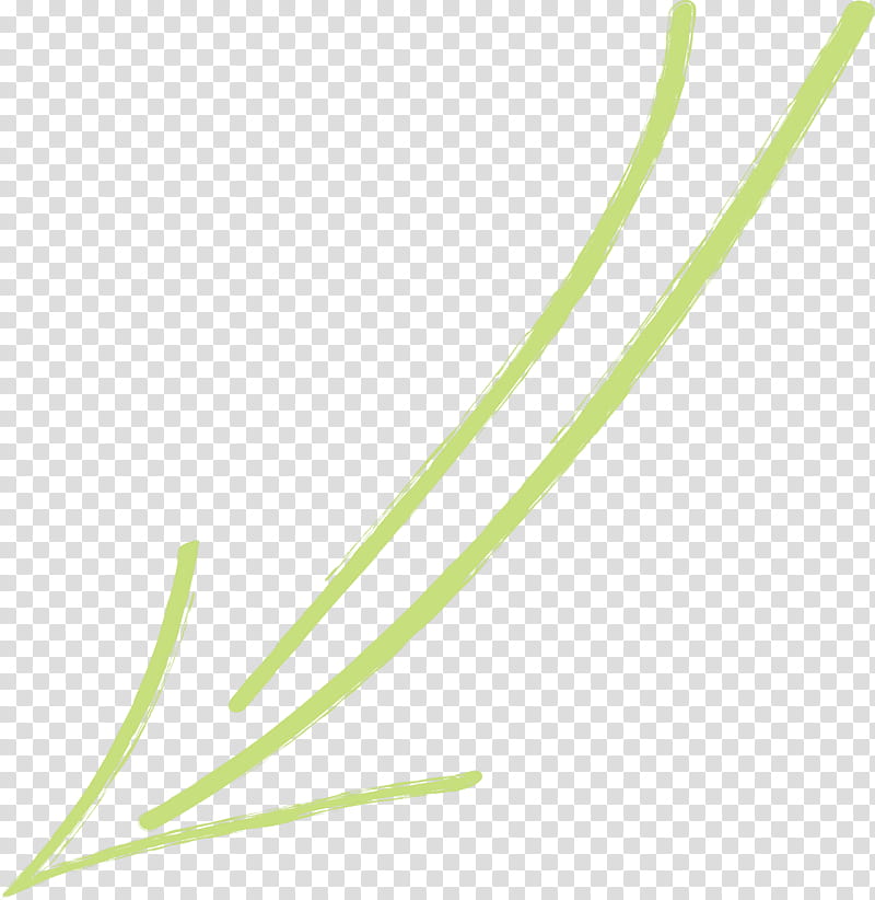 Hand Drawn Arrow, Plant, Grass Family, Chives, Elymus Repens, Plant Stem transparent background PNG clipart