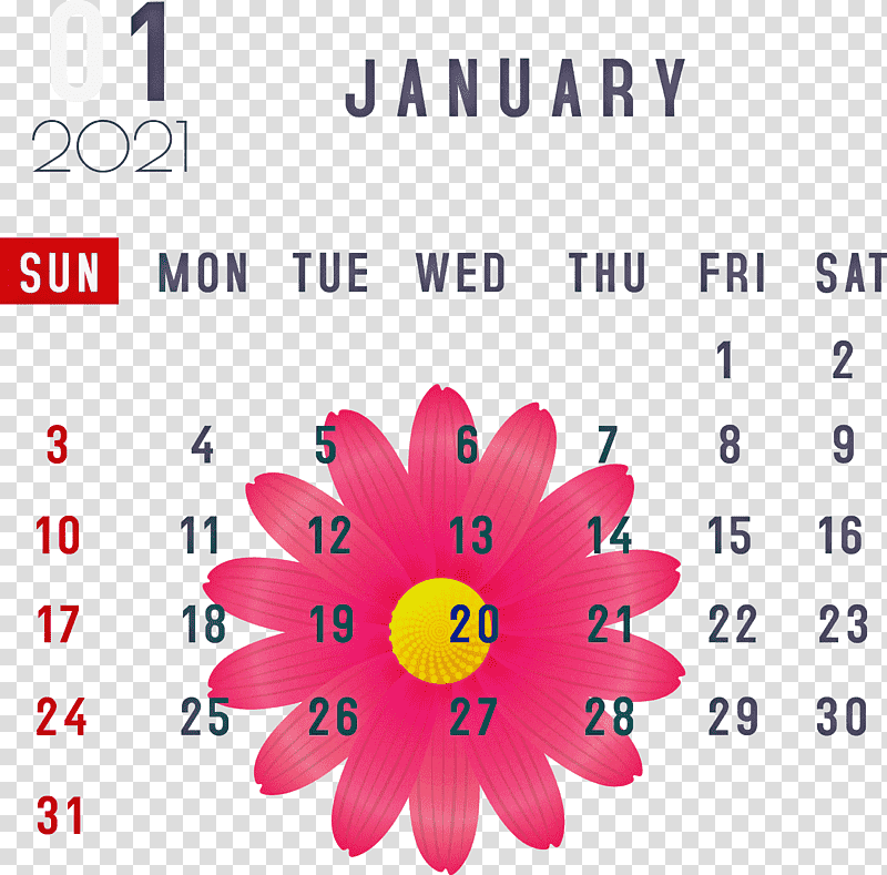 January January 2021 Printable Calendars January Calendar, Nexus S, Flower, Petal, Meter, Line, Magenta Telekom transparent background PNG clipart