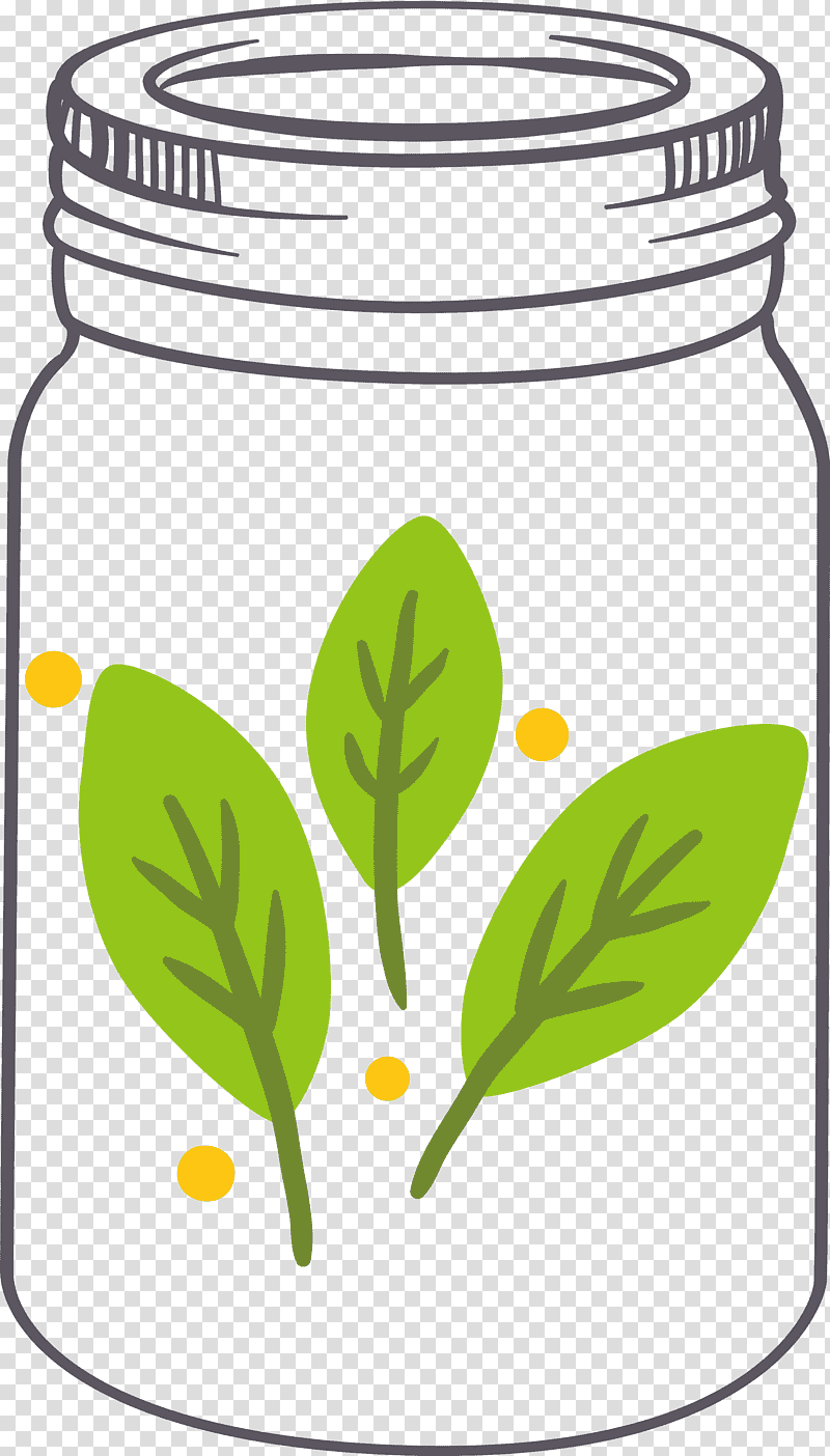 MASON JAR, Leaf, Flower, Green, Tree, Plants, Science transparent background PNG clipart