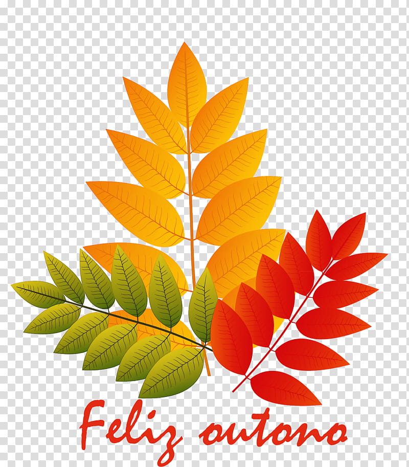 Hello Autumn Welcome Autumn Hello Fall, Welcome Fall, Leaf, Maple Leaf, Red Maple, Autumn Leaf Color, Plant Stem, Branch transparent background PNG clipart