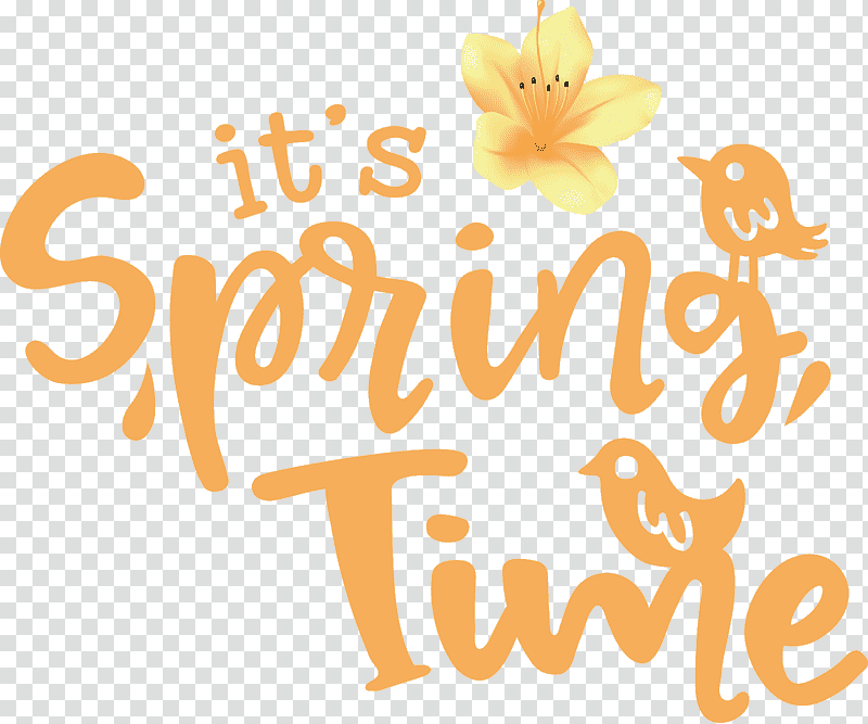 Spring Time Spring, Spring
, Floral Design, Logo, Yellow, Line, Meter transparent background PNG clipart