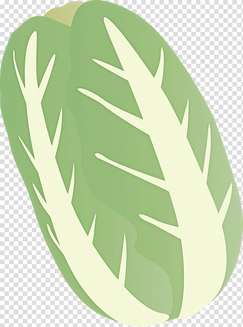 nappa cabbage, Leaf, Green, Monstera Deliciosa, Vegetable, Plant, Tree, Leaf Vegetable transparent background PNG clipart