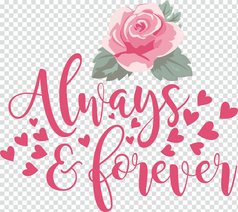 Valentines Day Always And Forever, Floral Design, Rose, Garden Roses, Cut Flowers, Petal, Logo transparent background PNG clipart