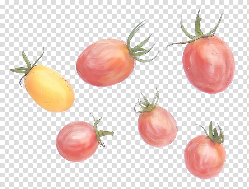Tomato, Bush Tomato, Natural Foods, Superfood, Vegetable, Datterino Tomato, Local Food, Apple transparent background PNG clipart