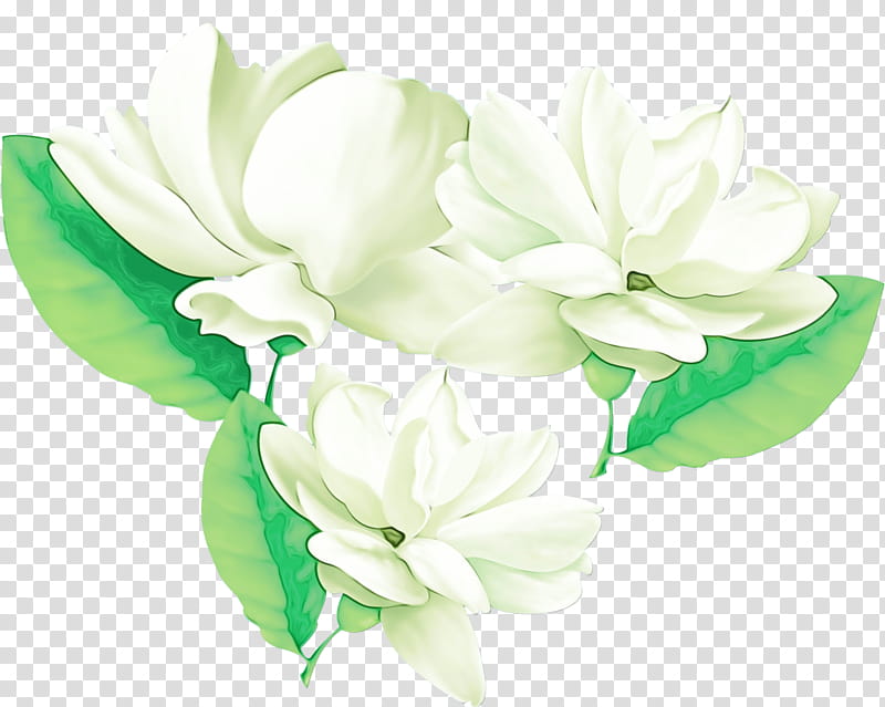 Floral design, Watercolor, Paint, Wet Ink, Gardenia, Cut Flowers, Artificial Flower, Flowerpot transparent background PNG clipart