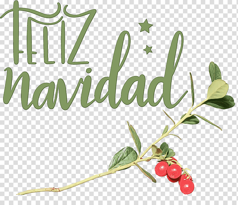 plant stem leaf natural foods flower superfood, Feliz Navidad, Merry Christmas, Watercolor, Paint, Wet Ink, Fruit transparent background PNG clipart