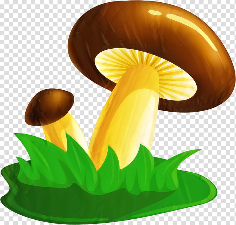 Mushroom, Flower, Yellow, Edible Mushroom, Agaricomycetes, Fungus transparent background PNG clipart