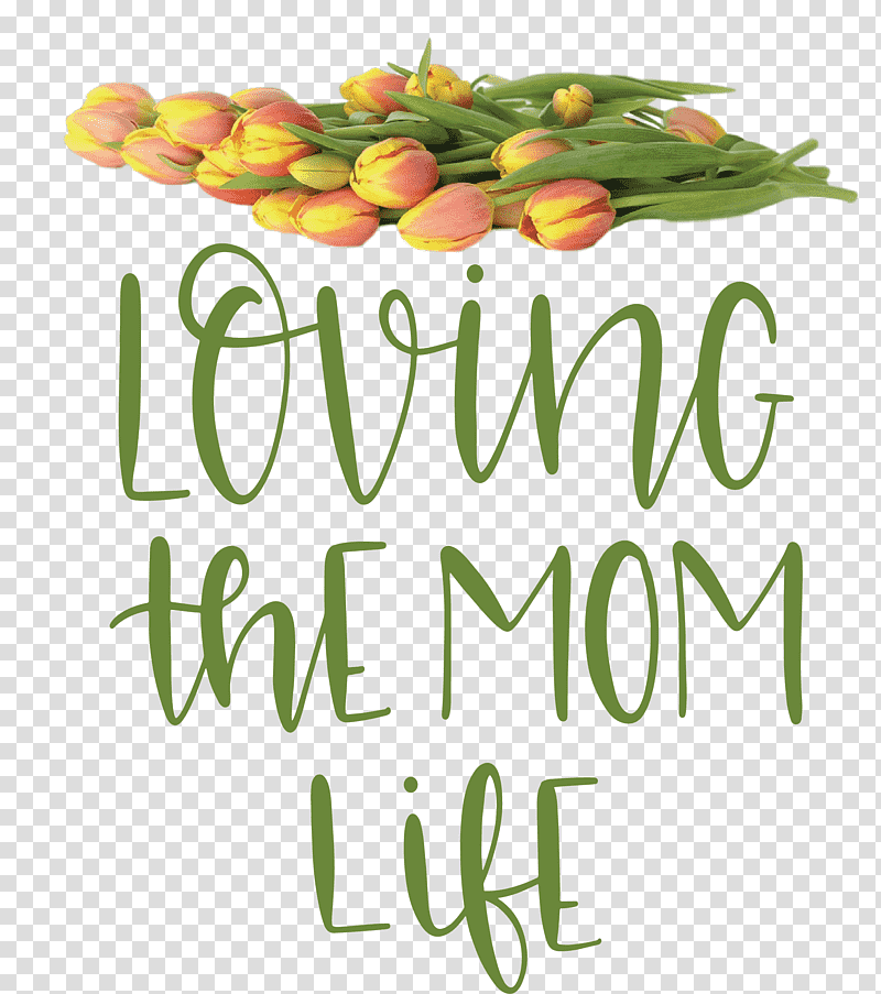 Mothers Day Mothers Day Quote Loving The Mom Life, Vegetarian Cuisine, Superfood, Natural Food, Local Food, Meter, Flower transparent background PNG clipart