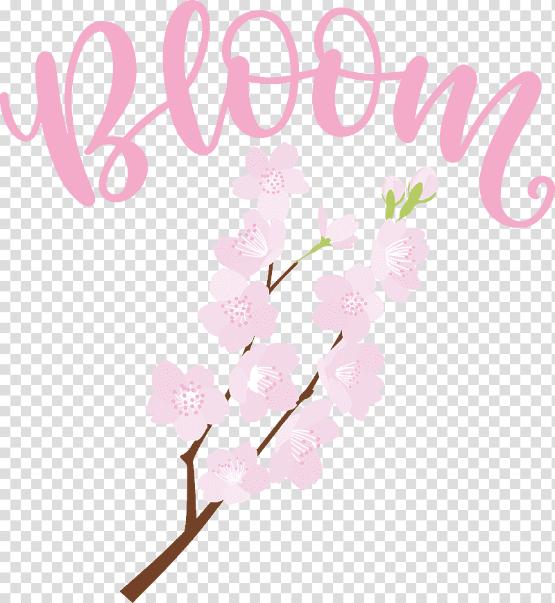 Bloom Spring Flower, Spring
, Wall Decal, Sticker, Room, Plant Stem, Floral Design transparent background PNG clipart