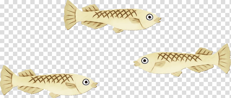 fish fish carp bony-fish cyprinidae, Watercolor, Paint, Wet Ink, Bonyfish transparent background PNG clipart